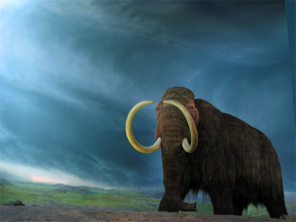 Mark the Mammoth Poetry at Work Day