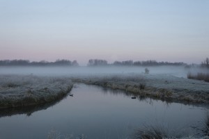 Foggy Winter Morning