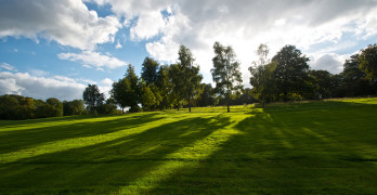Golf and Greens Poetry Prompt