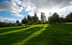Golf and Greens Photo Play