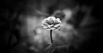 Holocaust poems interview with Janet Kirchheimer