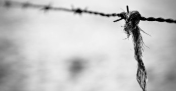 Holocaust poems