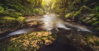 Shakespeare Playlist Ophelia Stream