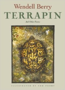 Terrapin