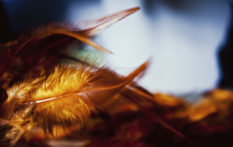Gold Vermilion Feathers The Windhover Essay Gerard Manley Hopkins