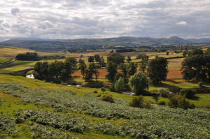 Wooler - The Unlikely Pilgrimage of Harold Fry