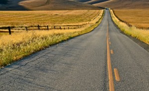 The Adjuster Open Road