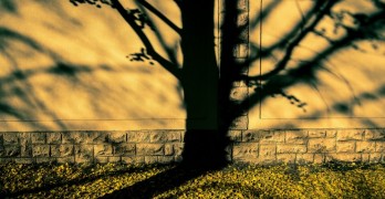 Fred Foote Interview Healing with Poetry