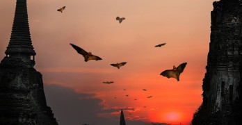 Top 10 Spooky Poems for Halloween