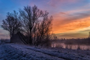 Dave Harrity Poems Barn in Sunrise Fog
