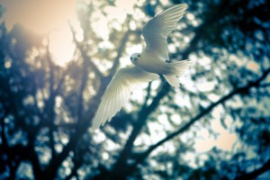 Twitter Poems Top 10 Poetic Tweets (2)