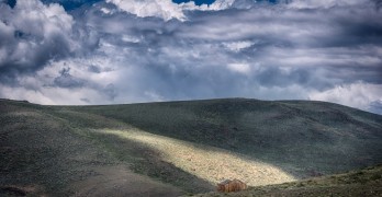 A Stroll through the Downs: Richard Adams