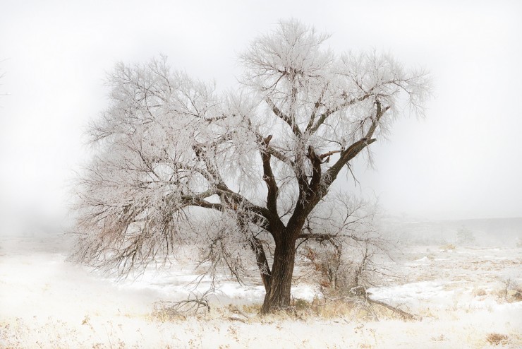Top 10 Winter Poems