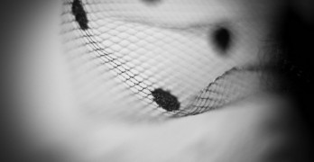 Black dot lace