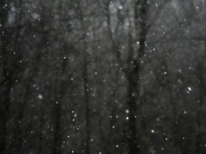 Coloring Page Poems Wallace Stevens The Snow Man snowfall against trees