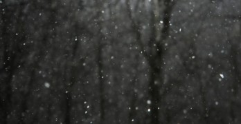 Coloring Page Poems Wallace Stevens The Snow Man snowfall against trees