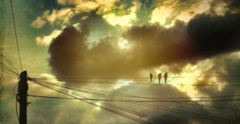 three birds on wire - Poetry for Life: Mind's Eye Poetry - Rewriting Dementia