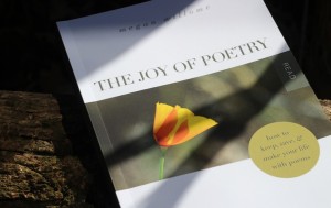 The Joy of Poetry Wood Fence 1