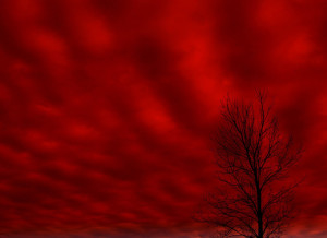 Red Sky Leonard Cohen