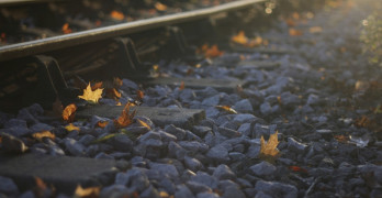 Regional Tour Holocaust Memorial Center Farmington Hills Michigan autumn leaves by railroad tracks