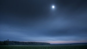 Twilight field Leon Stokesbury