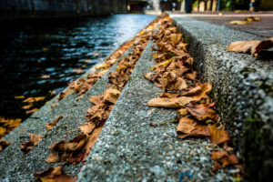 In search of the Best American Essays - fall leaves on stone steps