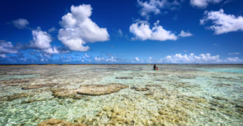 The Art of Stillness people on vast beach