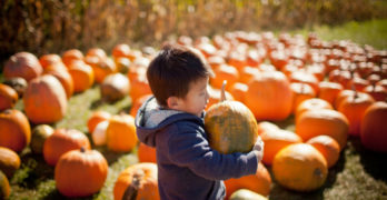 The Pumpkin by John Greenleaf Whittier