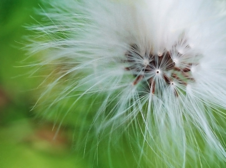 small-kindnesses-poetry-prompt