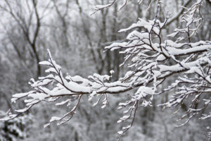 animate-snowflake-poetry-prompt