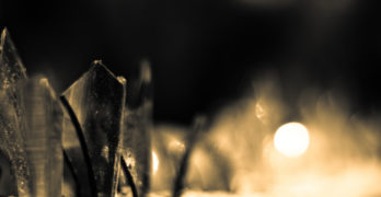 Juan Gelman Dark Times Filled with Light glass shards