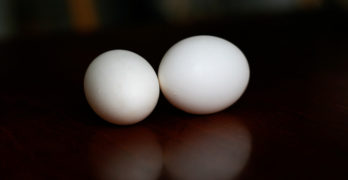 Luci Shaw Eating the Whole Egg two eggson dark tabletop