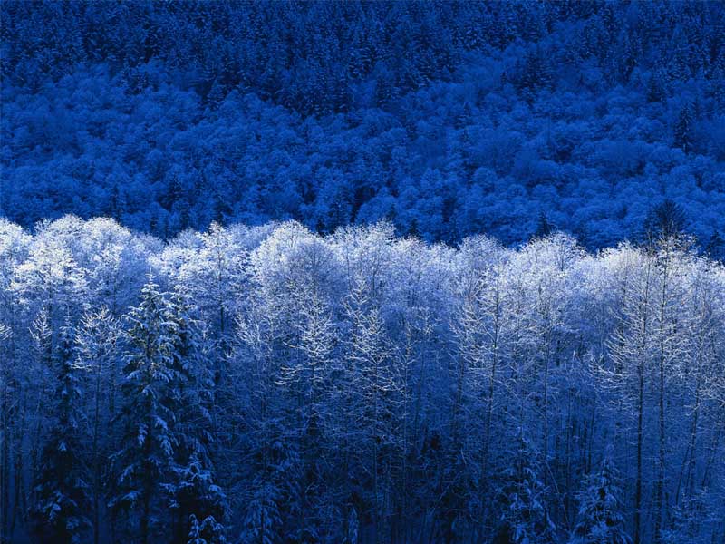 horizon-line-poetry-prompt