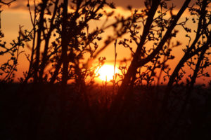 horizon-poetry-prompt