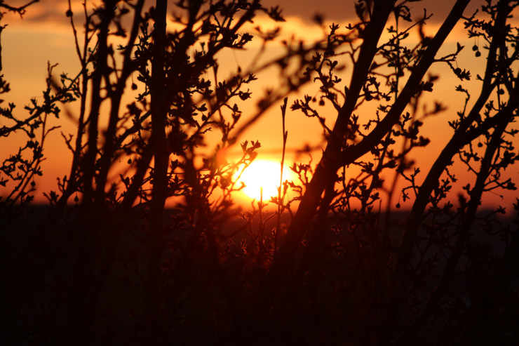 horizon-poetry-prompt