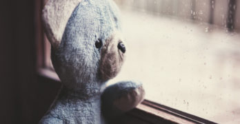 Emotional literacy - stuffed bear at window