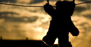 Teddy Bear on Clothesline Literacy Conversation