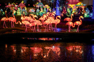 Chinese Lanterns Miami festival
