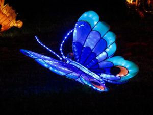 Chinese lantern festival