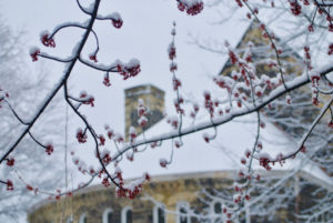 Snow scene A Tale of Two Cities