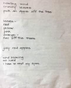 Harvest Moon Poems