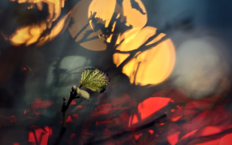 No-Write Poetry Prompt fire bokeh
