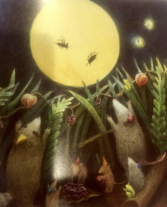 Possum's Harvest Moon