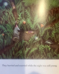 Possum's Harvest Moon scurry