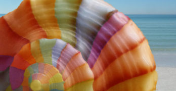 Random Acts of Poetry Day rainbow seashell