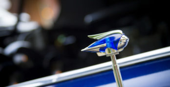 Storm in a Teacup Book Club blue hood ornament
