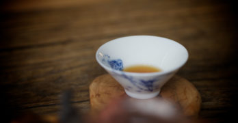 Storm in a Teacup book club announcement