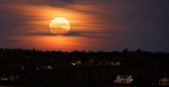 Harvest Moon