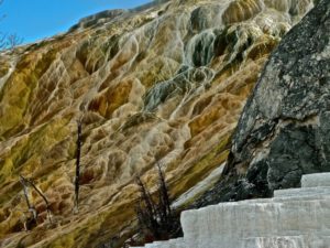 Thermophiles Tapestry at Yellowstone