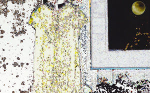 GN-jasmine from collage 740